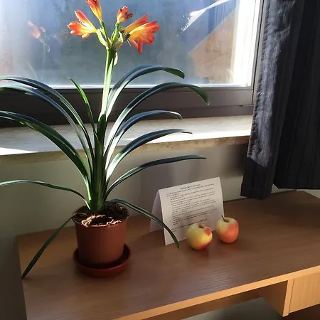 Zen House * Budapest