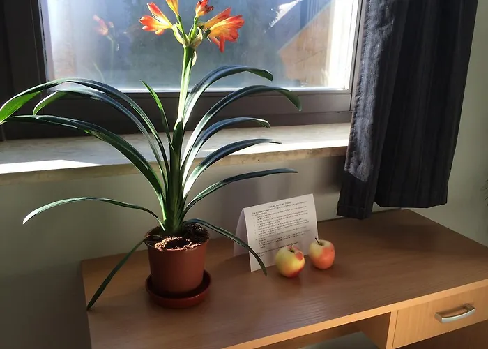 Zen House * Budapeste