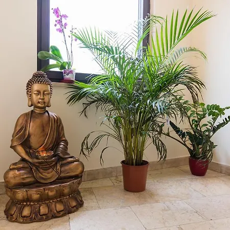 Ostello Zen House